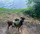 Tactical Dog Harness Collar Leash Molle Pouches For Medium Large Dogs Pet German Shepherd Training Walking Vest Dog Harnesses