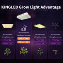 KINGLED Led Grow Light 1000W/2000W/3000W/4000W full spectrum Phytolamp for plants in grow tent greenhouse grow box