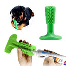 Zahnreiniger Hygienisch Für Hunde