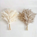 The Meadow Whisper | Bohemian Pampas Grass Bouquet