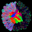 10/20pcs 12inch Fluorescent Balloon Dots Heart Star Latex Balloons Happy Birthday Wedding Christmas Party Decoration Kids Gifts