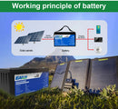 The Power Vault | 12V/24V LiFePO4 Battery 100-300Ah with Built-in BMS for Solar & RV