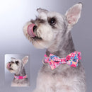 Blumenbedrucktes Nylon-Hundehalsband Verstellbares Frühlings-Hundehalsband mit Schleife für kleine, mittelgroße und große Hunde, Mops, Chihuahua