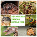 Reptile Acrylic Enclosure High Transparency Habitat Tank for Spider Mantis Gecko Corn Snake Breeding Box with Ventilation Holes