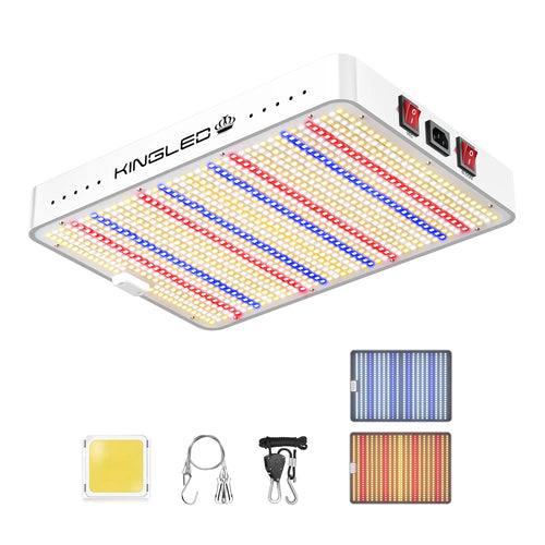 KINGLED LED Pflanzenlampe 1000W/2000W/3000W/4000W Vollspektrum Phytolampe für Pflanzen in Growzelt Gewächshaus Growbox