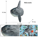 46073594544351