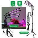 The Sunforge | Full-Spectrum USB LED Grow Light for Indoor Plants