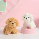 Pet Dog Toy Plush Supplies For All Puppy Pets Funny Durable Chewing Teeth