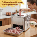 The Precision Slicer | 850W Stainless Steel Commercial Meat & Vegetable Cutting Machine