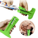 Zahnreiniger Hygienisch Für Hunde