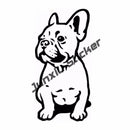 45340882403551|45340882436319|45340882501855|45340883452127|45340883484895