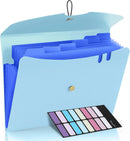 Expandable File Folder, Letter Size Organ Organizer, 5 File Pockets, Portable Organizer for School Office Supplies