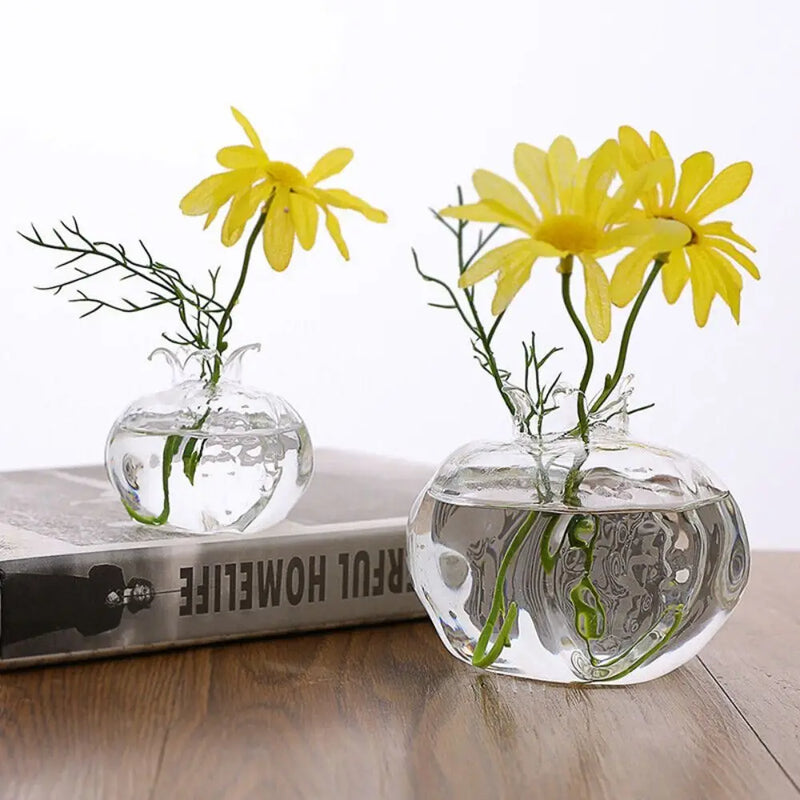 Avocado Seed Starter Vase Transparent Glass Vase Vase for Growing Plant Glass Seed Growing Kit for Gardening Lovers
