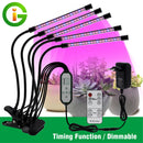 The Sunforge | Full-Spectrum USB LED Grow Light for Indoor Plants