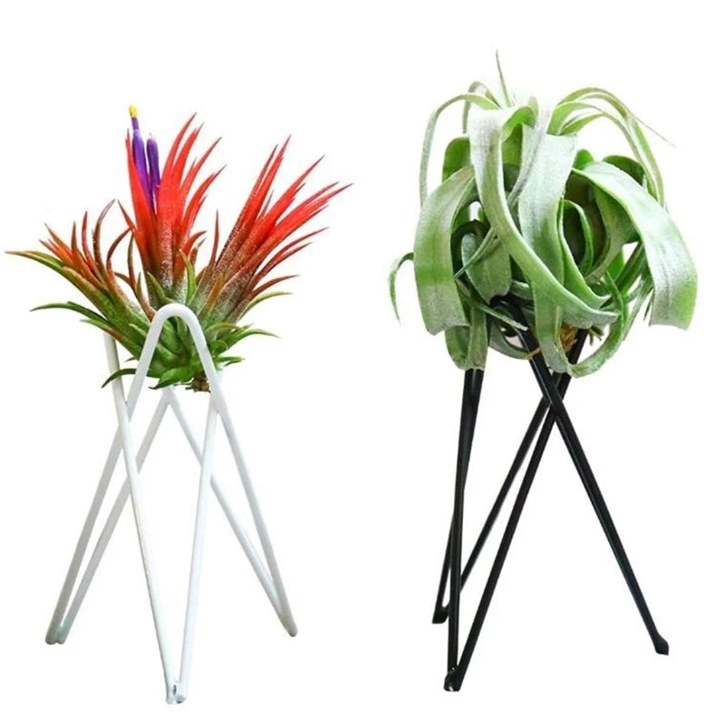 1 Pcs Air Plant Holder Metal Flower Pot Stand Geometric Iron Tillandsia Display Art