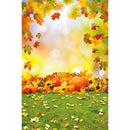 Autumn Landscape Backdrop Fall Forest Maple Fallen Leaves Nature Scenery Harvest Thanksgiving Portrait Photography Background