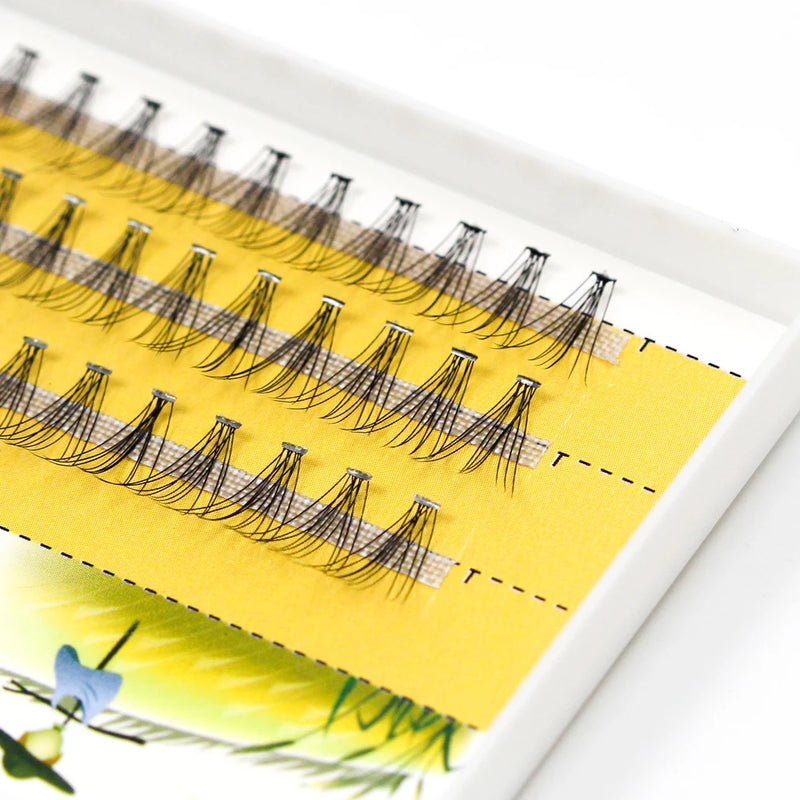 Grafting World 0.07 Individual Eyelashes 10D Lash Fan Cluster length 8mm to 14mm for Personal Make Up