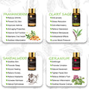 20-teiliges Geschenkbox-Set aus rein natürlichen ätherischen Pflanzenölen für Luftbefeuchter, Diffusor, Zitronengras, Minze, Eukalyptus, Lavendelöl, Citronella