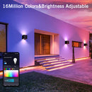 The Threshold Keeper | 12W Smart RGBCCT LED Outdoor Wall Sconce with Tuya Control