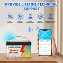The Iron Current | 12V 100Ah LiFePO4 Deep-Cycle Lithium Battery for RV Marine Solar