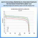The Iron Current | 12V 100Ah LiFePO4 Deep-Cycle Lithium Battery for RV Marine Solar