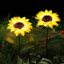 (2 Pack of Set) Outdoor Solar Garden Upgraded LED Powered Light with 20 LED Sunflower Waterproof