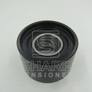 03E903133A,03D903305F,03D903305G Blet Tensioner Fits for VW