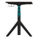 [ NEW ] ROBIN PRO BLACK OAK ELECTRIC STANDING DESK