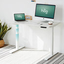 RAY OAK ELECTRIC STANDING DESK