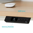 RAY CLASSIC LIGHT OAK STANDING DESK