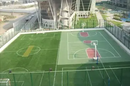 MULTI-SPORT TURF