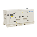250KVA Diesel Generator 400V, 3 Phase: Powered by Perkins: WPS250S Side