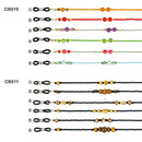 Glasses Chains & Strap CB001-028