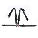 FER029 Far Europe Racing Car Harness