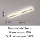 Acrylic Hallway led ceiling lights for living room Plafond home Lighting ceiling lamp homhome lighting fixtures Modern balcony