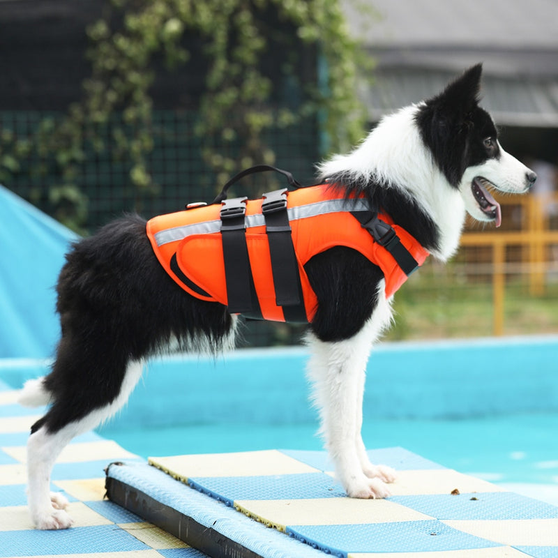 Pet Dog Schwimmweste Sicherheitskleidung Schwimmweste Schwimmkleidung Badebekleidung für kleine große Hunde Husky Französische Bulldogge Hundezubehör