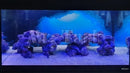 Mr.Tank 3D Effect Underwater Sunlight Rays Cave Aquarium Background Sticker Selfadhesive Fish Tank Backdrop Decorations