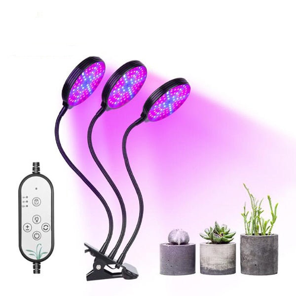 Phyto Lamp Timer Full Spectrum USB Grow Light Lamp For Plants Full Spactrum Lights For Plants Garden Flowers Herbs Grow Box