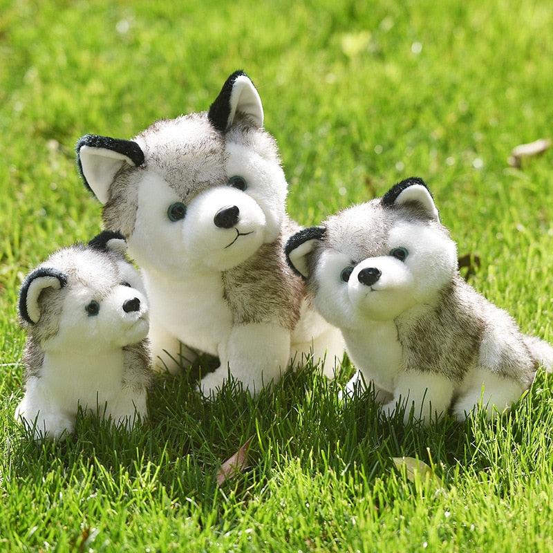 Lindo perro husky de 20-30cm, juguete de peluche de Lobo, animal de peluche suave, lindo muñeco de peluche kawaii para niños, regalo de cumpleaños esponjoso para niño WJ131