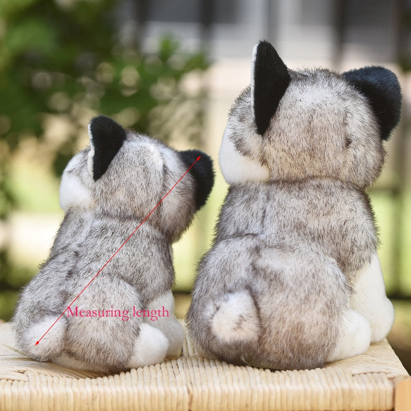 Lindo perro husky de 20-30cm, juguete de peluche de Lobo, animal de peluche suave, lindo muñeco de peluche kawaii para niños, regalo de cumpleaños esponjoso para niño WJ131