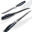 6 Inch Damascus Kitchen Boning Knife 67 Layers VG10 Japanese Damascus Kitchen Knife Filleting Slicing Knives Gift Box Grandsharp