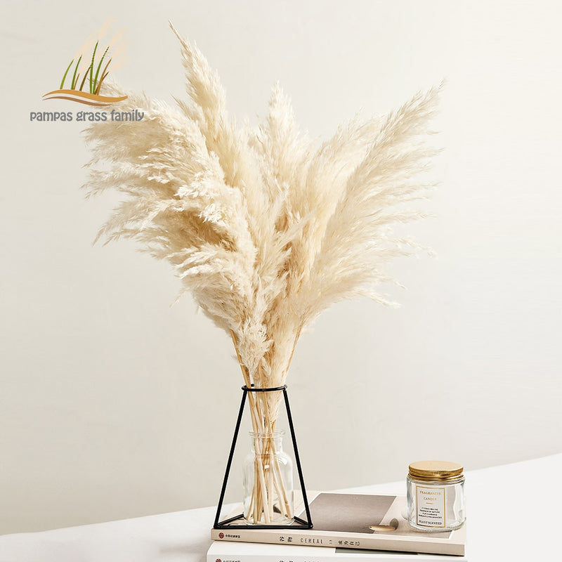 Pampasgras-Dekor, weiße Farbe, flauschige, natürliche, getrocknete Blumen, gebleichter Blumenstrauß, Boho-Vintage-Stil für Hochzeit, Zuhause, Weihnachtsdekoration