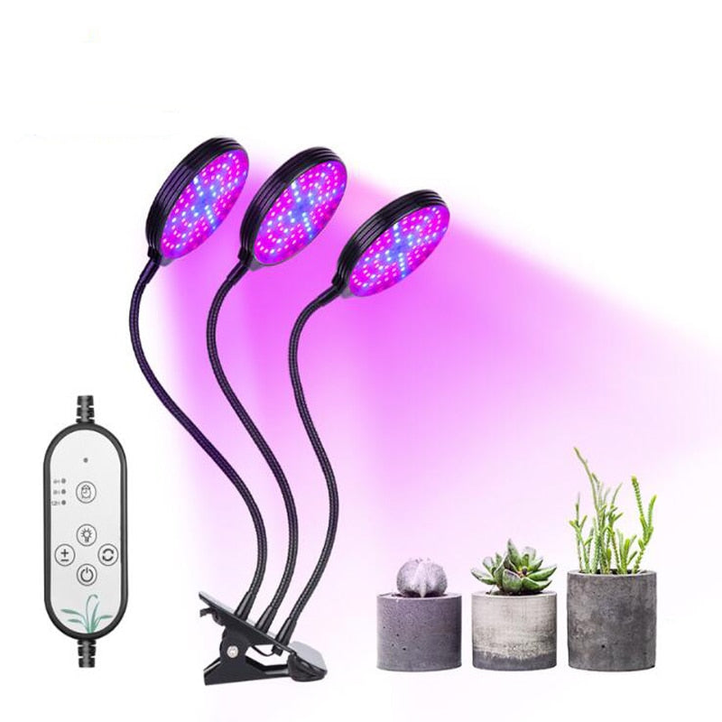 Phyto Lamp Timer Full Spectrum USB Grow Light Lamp For Plants Full Spactrum Lights For Plants Garden Flowers Herbs Grow Box