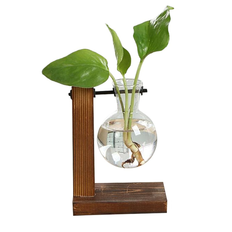 Jarrones de plantas hidropónicas para terrario, maceta Vintage, jarrón transparente, marco de madera, mesa de cristal, plantas, decoración de bonsái para el hogar