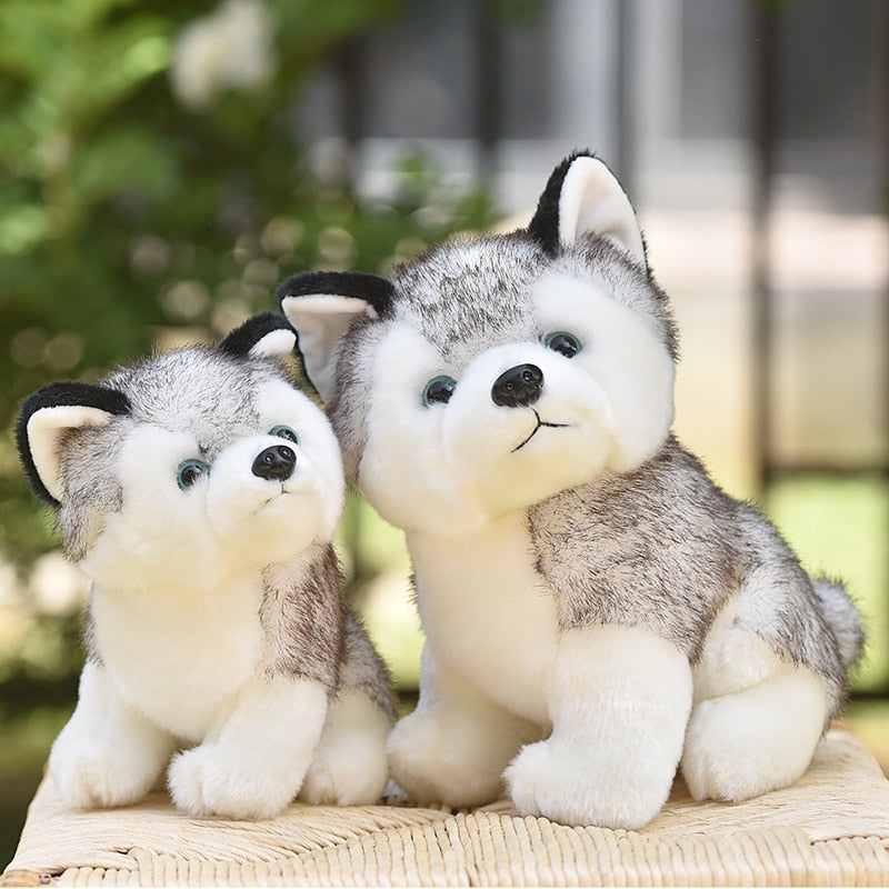 Lindo perro husky de 20-30cm, juguete de peluche de Lobo, animal de peluche suave, lindo muñeco de peluche kawaii para niños, regalo de cumpleaños esponjoso para niño WJ131