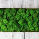 200g/bag  artificial green plants immortal fake flower Moss grass home garden decorative wall DIY flower grass accessories