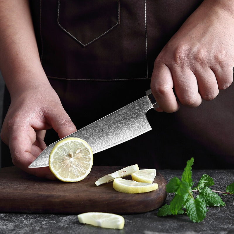 XITUO Paring Fruit Knife Damascus Steel Vegetable Peeling Knife Slicer Meat Fish Knives Japanese knife octagonal handle Cooking