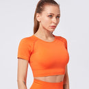 Conjunto de Yoga sin costuras para mujer, ropa de Fitness, conjunto de gimnasio de 2 piezas, Top corto, Leggings, conjunto deportivo para mujer, ropa de entrenamiento