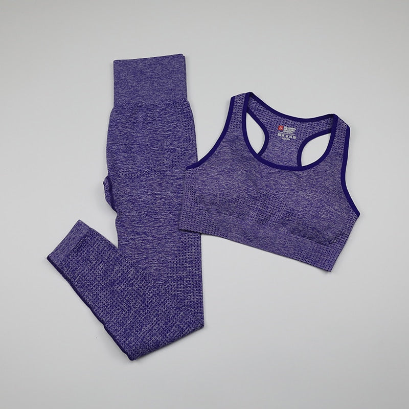 Conjunto de 2 piezas para mujer, conjunto de Yoga sin costuras, ropa deportiva, ropa deportiva para mujer, mallas de gimnasio vitales, Sujetador deportivo acolchado de realce, trajes deportivos