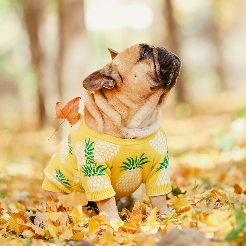 [MPK Dog Winter Wear] Bak-Kiann Hundepullover, Luxuriöse warme Kleidung für Französische Bulldoggen